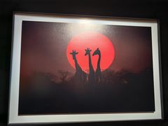 -罗红摄影艺术馆