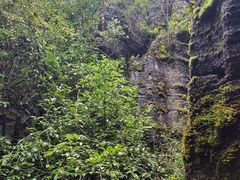 -梭布垭石林景区