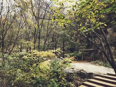-大岭沟猕猴桃谷风景区