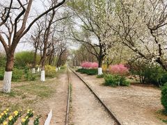 -永定河休闲森林公园