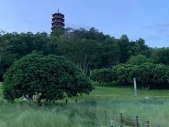 -红花山公园