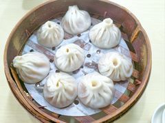 -莱莱小笼·乔艾