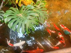 -聚缘堂·海鲜私房菜(松岭路店)