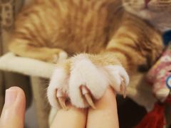 -初见小面(上沙店)