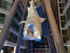 -中央广播电视总台(光华路办公区)