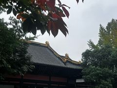 -荣县大佛