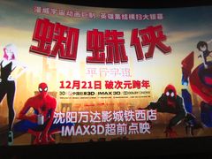 -万达影城(IMAX激光铁西万达广场店)