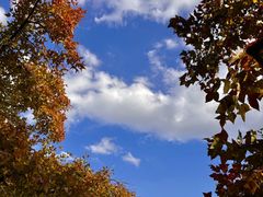 -西山人家·传统苏帮菜·家宴(木渎店)