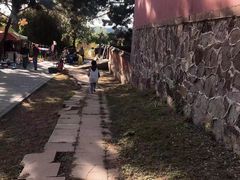 -普陀宗乘之庙(小布达拉宫)
