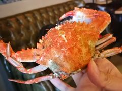 -阿顾西餐·牛排披萨(北戴河店)