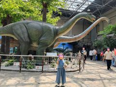 -国家自然博物馆