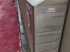 -上海港国际客运中心