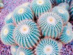 -南通洲际绿博园