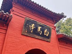 -洛阳白马寺