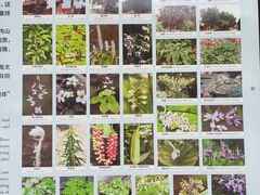 -黄河三峡风景名胜区