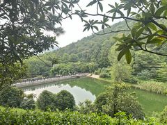 -九龙潭景区