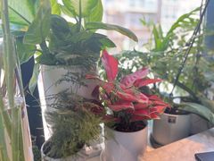 -懒人盐府人家(航天桥店)