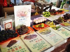 -马陆小张葡萄园农家乐