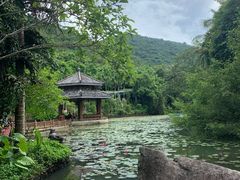 -亚龙湾热带天堂森林公园