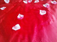 天下锦城-同庆楼(花园店)