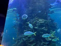 -蓬莱欧乐堡海洋极地世界