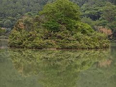 -广州白江湖森林公园