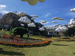 -南山植物园