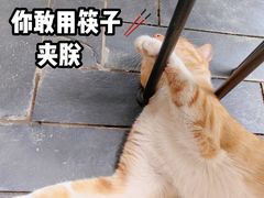 -Berry Beans(前门店)