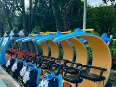 -东南花都花博园