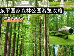 -东平国家森林公园