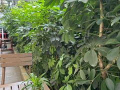 -绿小院(荔湾店)