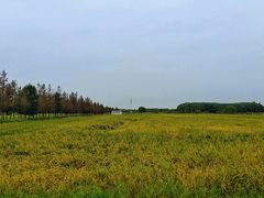 -嘉北郊野公园