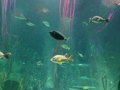 -沈阳海洋探索中心