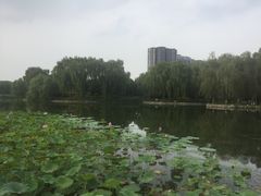 -望湖公园