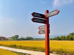 -良渚古城遗址公园