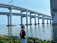 -星海湾跨海大桥