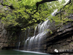 iphone_upload_pic-黎坪国家森林公园