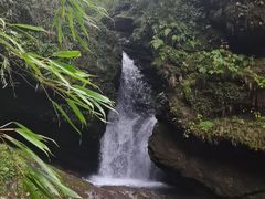 -龙苍沟森林公园