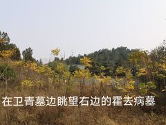 -茂陵博物馆