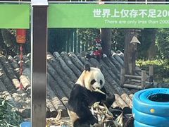 -大连森林动物园