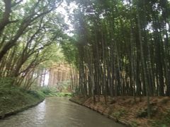 -同里国家湿地公园