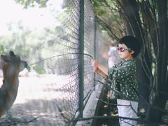 -西安秦岭野生动物园