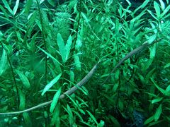 -上海海洋水族馆