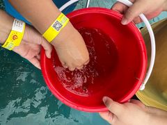 -第五季龙水凤港生态露营农场