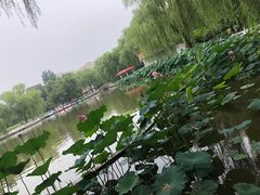 -丰台花园