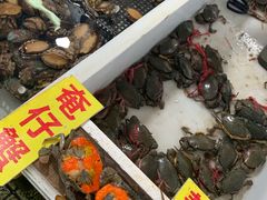 -大湾区中央湿地公园-十九涌