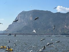 -海埂大坝