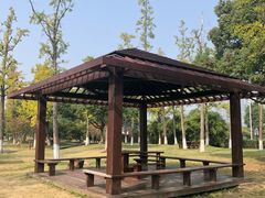 -太湖湖滨国家湿地公园-停车场