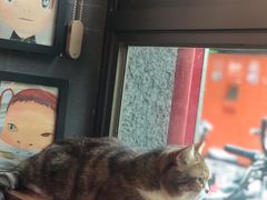 -咖法森林·咖啡  酒吧(天河店)