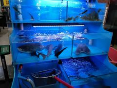 -韩妹鱼庄·泸定老字号(泸定店)